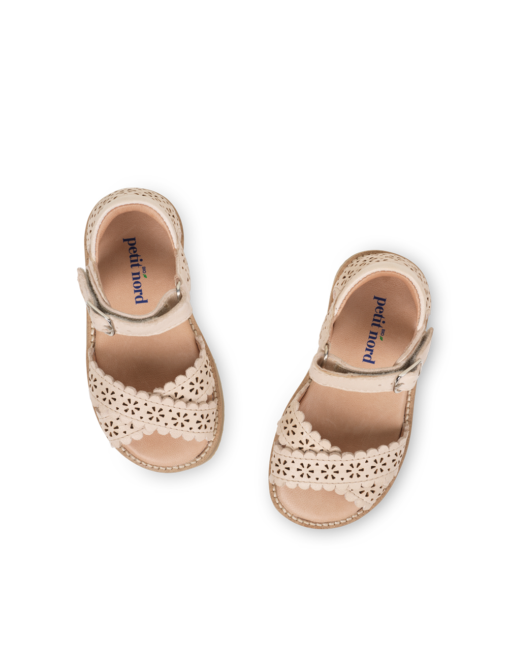 Crossover Scallop Flower - Cream – Petit Nord GLOBAL