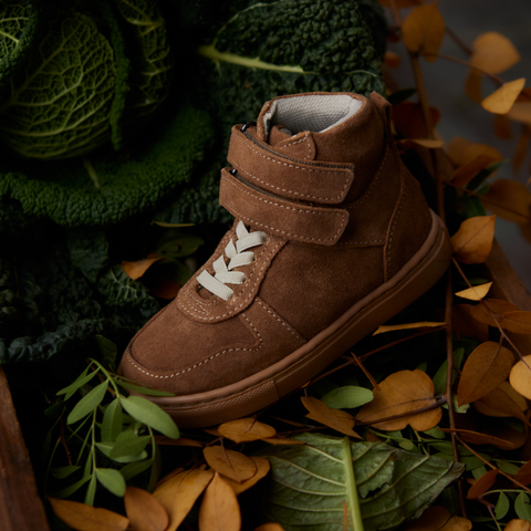 SNEAKER COLLECTION – Petit Nord GLOBAL