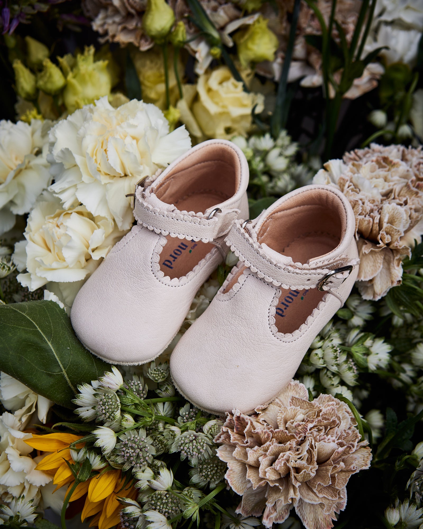 Baby Scallop T-bar - Cream – Petit Nord GLOBAL