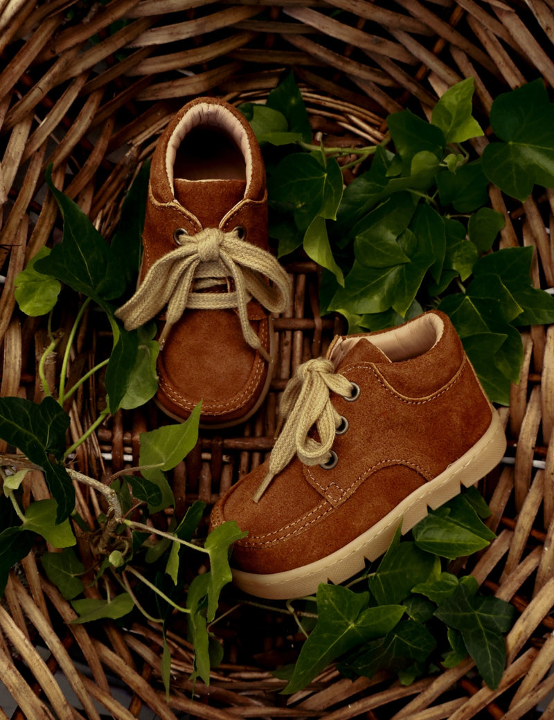 Petit Nord Chubby Cruiser Lace Indoor Shoes Chestnut Suede 155
