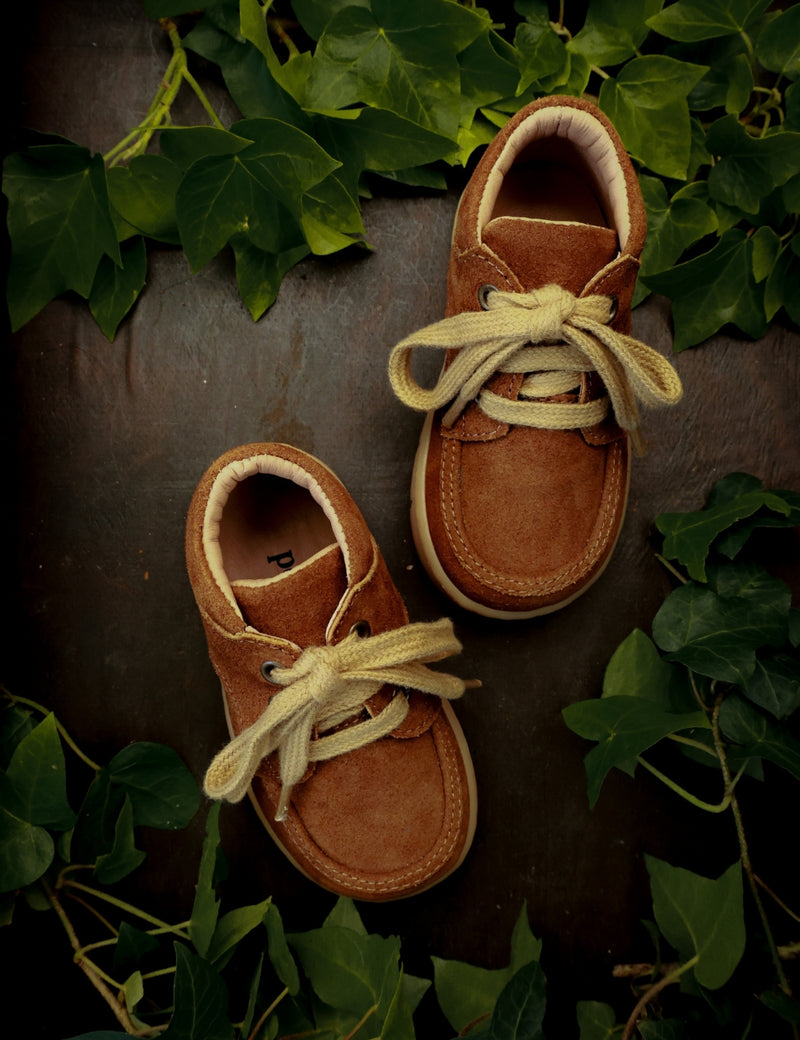 Petit Nord Chubby Cruiser Lace Indoor Shoes Chestnut Suede 155