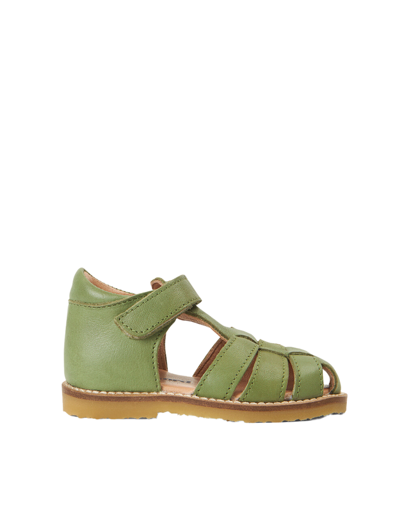 Classic Sandal - Artichoke – Petit Nord GLOBAL
