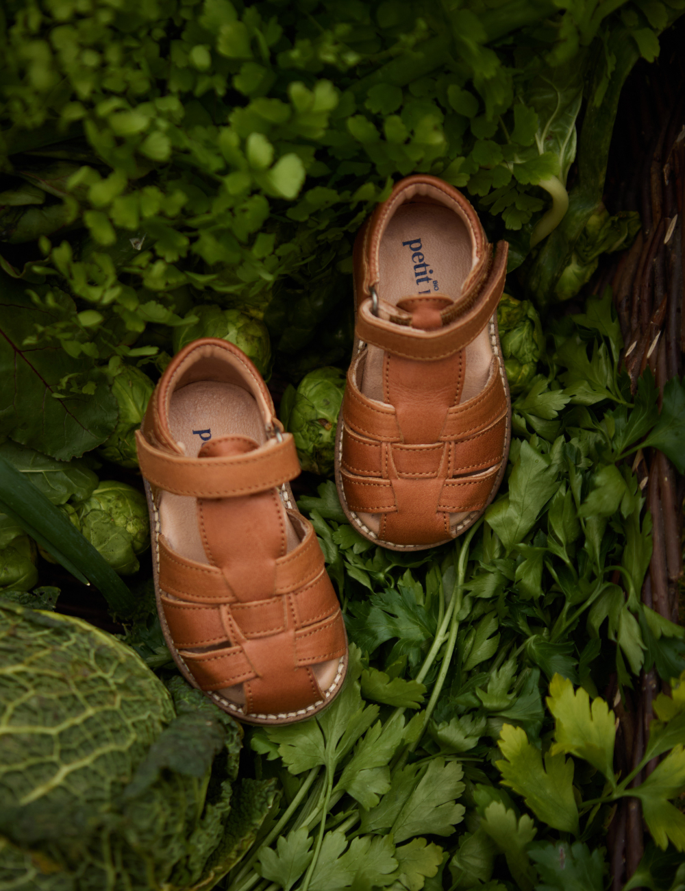 Classic Sandal - Cognac – Petit Nord GLOBAL