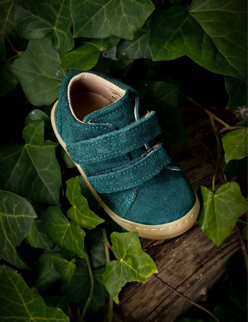 Petit Nord Everyday shoe Velcro Sneakers Teal Suede 153