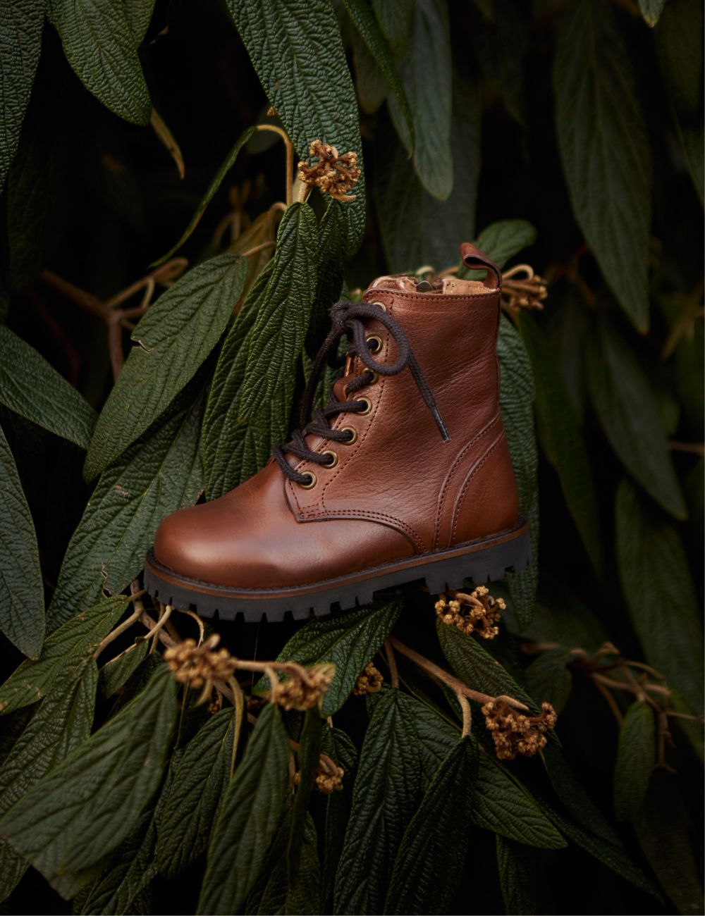 Lace-up Boot - Hazelnut – Petit Nord GLOBAL
