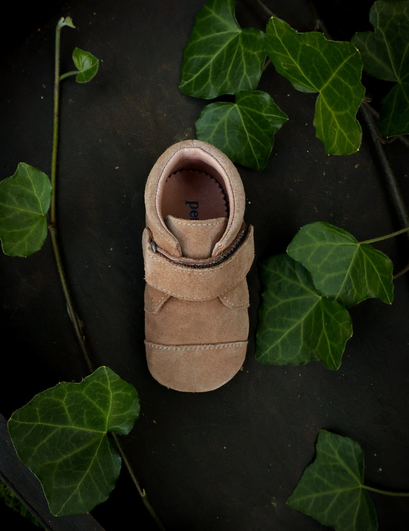 Petit Nord Shoe with Velcro Indoor Shoes Sahara Suede 122