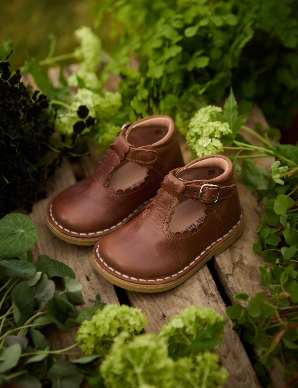 Petit nord T-BAR SCALLOP UNIQUA サイズ27 T-Bar Scallop - Hazelnut – Petit Nord GLOBAL