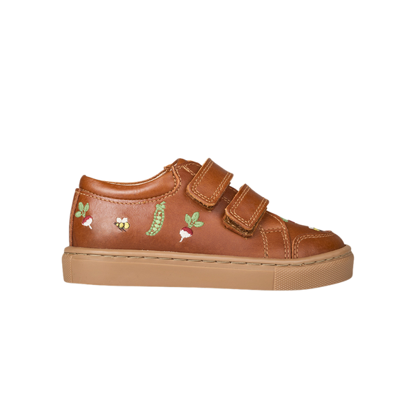 Sneakers – Petit Nord GLOBAL
