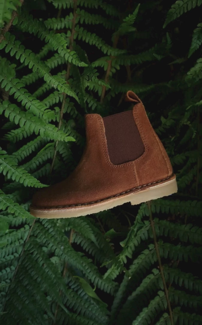 Petit Nord Ankle Boot Boots Chestnut Suede 155