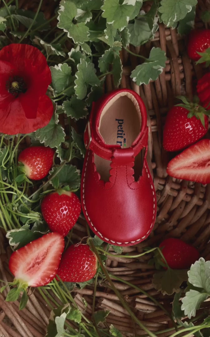 Petit Nord T-Bar Scallop T-bars and Ballerinas Poppy 163