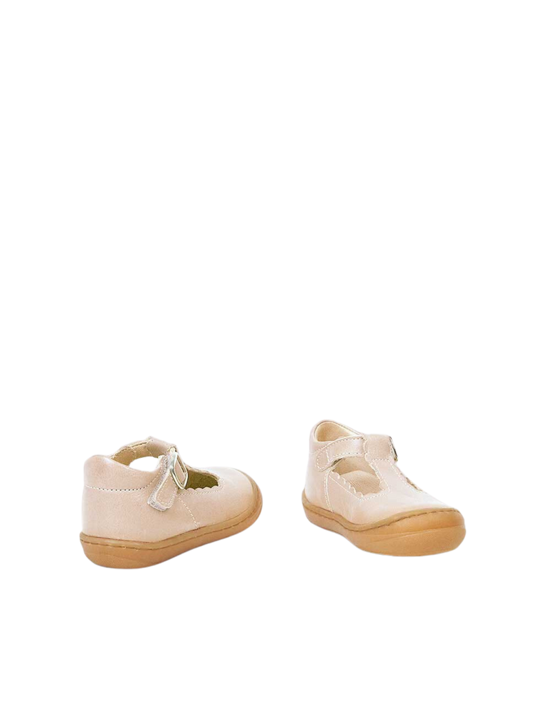 Scallop Cruiser Cream Petit Nord GLOBAL